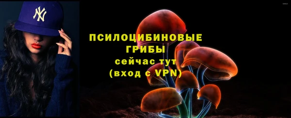 твердый Балахна