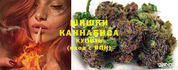 эйфоретик Баксан